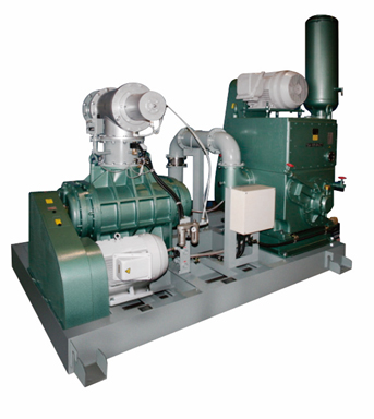 Dry Vacuum Pumping Systems